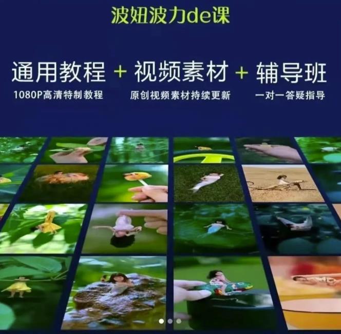 [短视频运营]（2420期）波妞波力的视频通用教程+视频素材+辅导班-第2张图片-智慧创业网