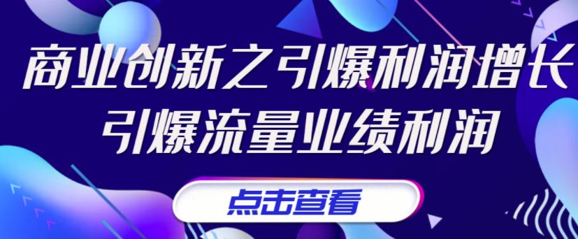 [创业项目]（3388期）张琦《商业创新之引爆利润增长》引爆流量业绩利润