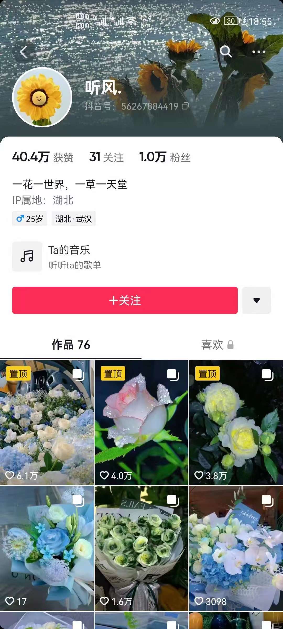 [热门给力项目]（3488期）抖音壁纸变现项目：实战日入380+发布壁纸素材获取收益！-第3张图片-智慧创业网