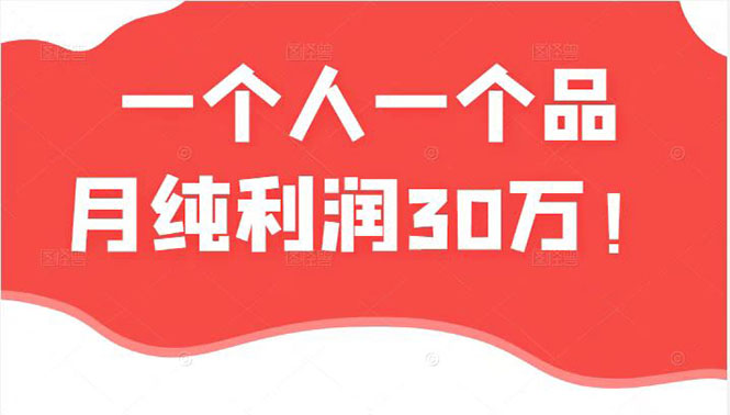 [国内电商]（2343期）某公众号付费文章：一个人一个品月纯利润30万的蓝海电商经典案例！