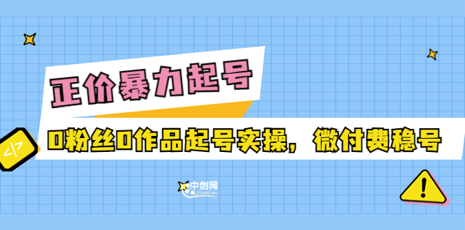 [短视频运营]（3377期）正价暴力起实操号：0粉丝0作品起号实操，微付费稳号