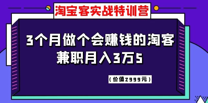 [淘客项目]（1119期）淘宝客实战特训营，三个月做个会赚钱的淘客，兼职月入3万5（价值2999元）-第2张图片-智慧创业网