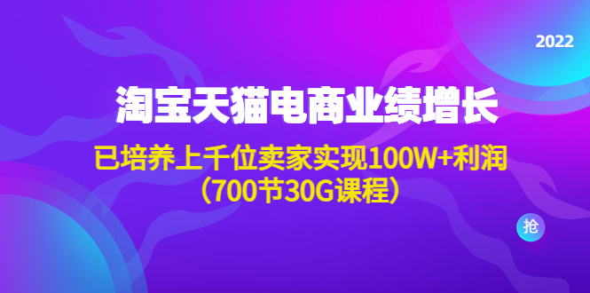 [国内电商]（4409期）淘系天猫电商业绩增长：已培养上千位卖家实现100W+利润（700节30G课程）