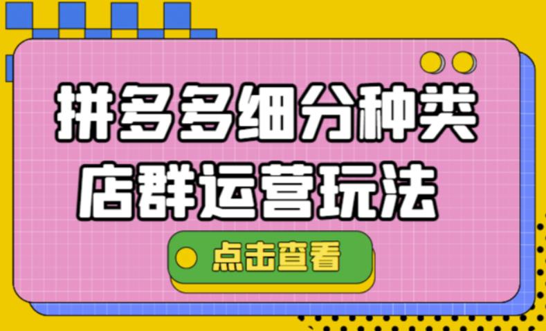 [国内电商]（4373期）拼多多细分种类店群运营玩法3.0，11月最新玩法，小白也可以操作