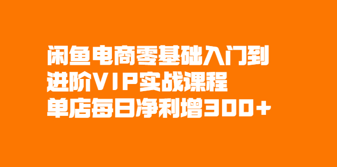 [国内电商]（2082期）闲鱼电商零基础入门到进阶VIP实战课程，单店每日净利增300+