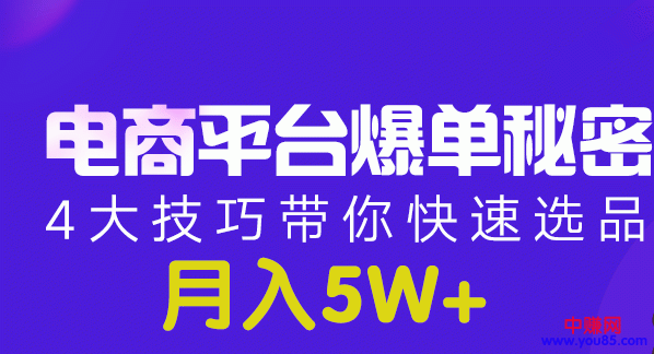 [国内电商]（950期）电商平台爆单 月入5W+的秘密：4大技巧带你快速选品(8节视频课)-第2张图片-智慧创业网