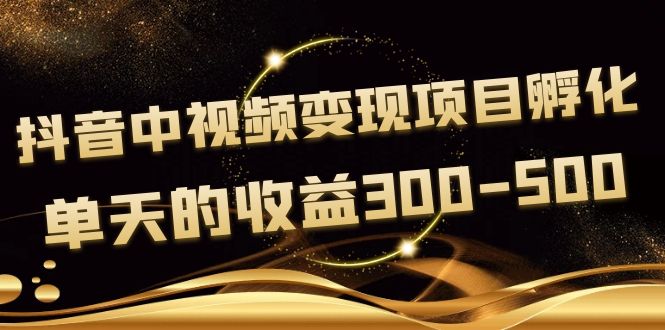 [短视频运营]（3794期）黄岛主《抖音中视频变现项目孵化》单天的收益300-500 操作简单粗暴