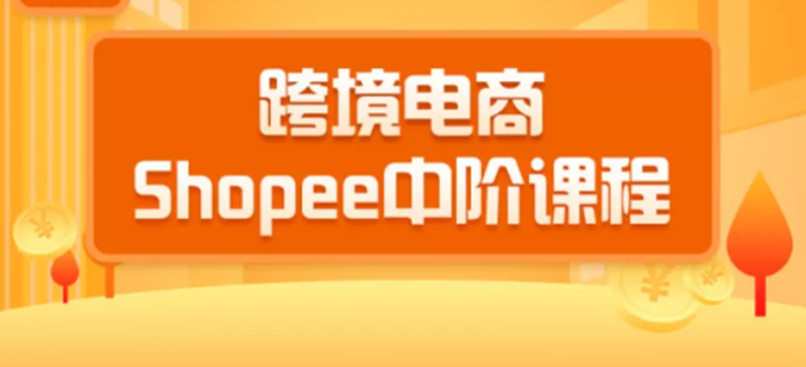 [跨境电商]（1410期）2020跨境电商蓝海新机会-shopee中阶课程：爆款的快速打造全流程（27节课）