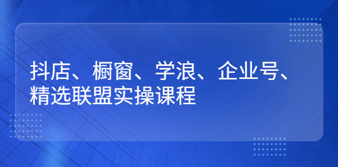 [短视频运营]（2640期）抖店、橱窗、学浪、企业号、精选联盟实操课程