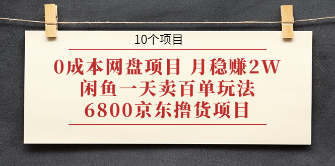 [热门给力项目]（1928期）0成本网盘项目 月稳赚2W+闲鱼一天卖百单玩法+6800京东撸货项目 (10个项目)-第1张图片-智慧创业网