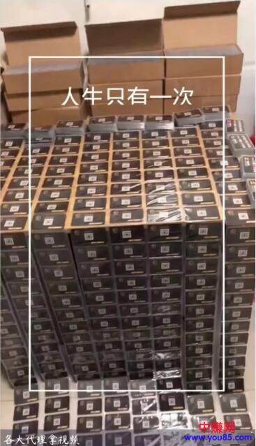 [网赚项目]全网影视VIP会员APP项目操作流程，从建站到盈利赚钱！-第4张图片-智慧创业网