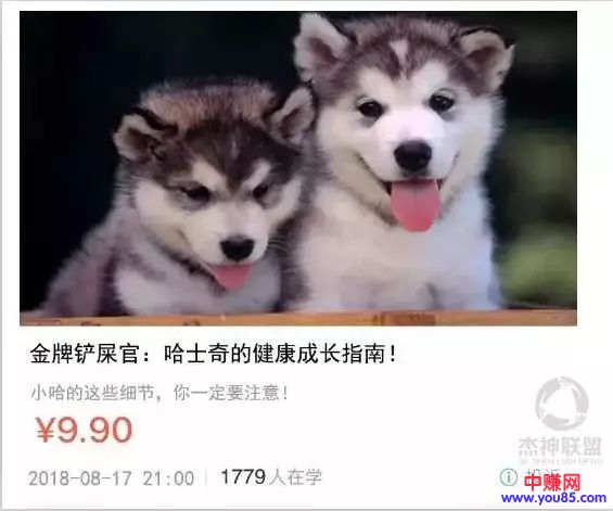 消费力更强!但你会赚他们的钱吗?-第7张图片-智慧创业网 消费力更强!但你会赚他们的钱吗?-第7张图片-智慧创业网
