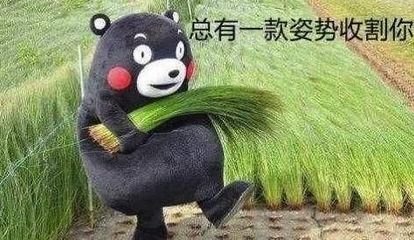 套路层出不穷的年代,如何防被割韭菜-第2张图片-智慧创业网 套路层出不穷的年代,如何防被割韭菜-第2张图片-智慧创业网