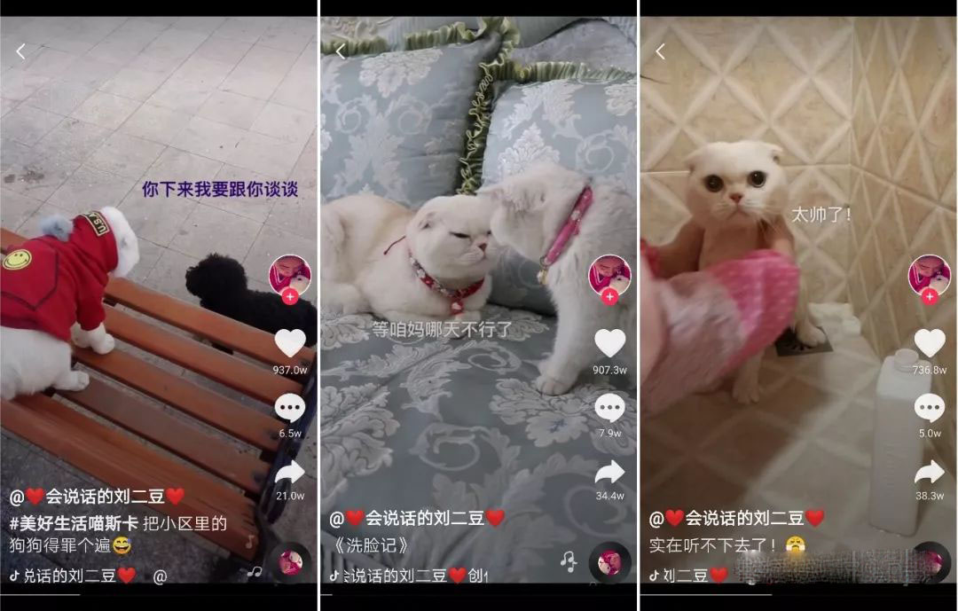 抖音喵星人小电影赚钱套路-第2张图片-智慧创业网 抖音喵星人小电影赚钱套路-第2张图片-智慧创业网