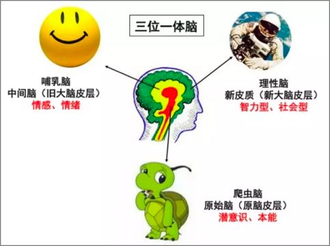 怎么打造自己的IP,个人IP打造的一些理解和想法!-第3张图片-智慧创业网 怎么打造自己的IP,个人IP打造的一些理解和想法!-第3张图片-智慧创业网