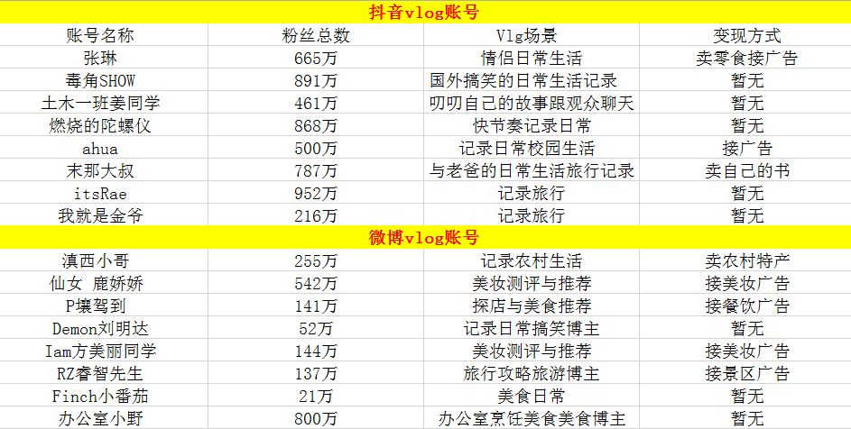 躺在风口上的"vlogger"，怎么做才赚钱？