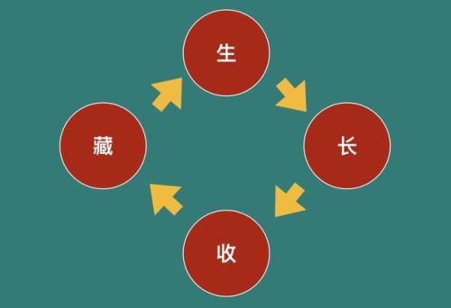 高阶的内容创业,往往是从生长收藏中衍生出来的-第4张图片-智慧创业网 高阶的内容创业,往往是从生长收藏中衍生出来的-第4张图片-智慧创业网
