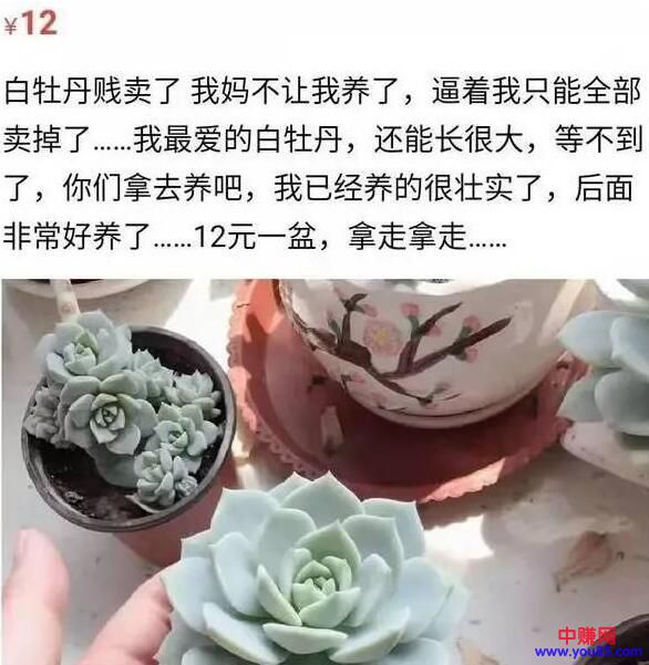 闲鱼卖货技巧,学会之后日销几十单,月入过万元-第4张图片-智慧创业网 闲鱼卖货技巧,学会之后日销几十单,月入过万元-第4张图片-智慧创业网