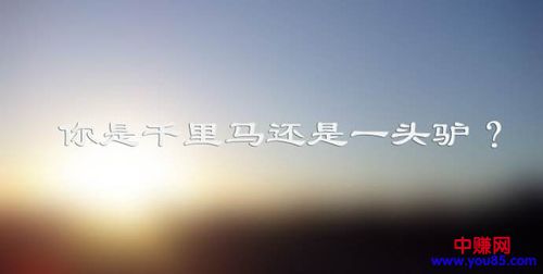 创业路茫茫,十年练就“死猪不怕水烫”-第2张图片-智慧创业网 创业路茫茫,十年练就“死猪不怕水烫”-第2张图片-智慧创业网