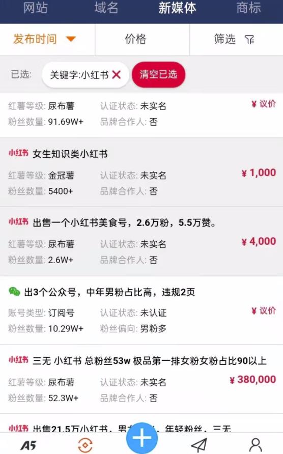 [网赚项目]卖小红书公众号的快速变现小项目，一个号赚几千上万块！-第3张图片-智慧创业网