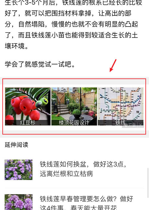 [网赚项目]这样看广告，不仅能提升认知，还能赚钱！-第1张图片-智慧创业网