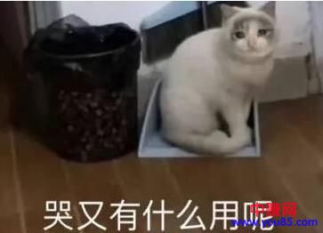 [大杂烩]把成功模式放大，故弄玄虚的月入百万思维！