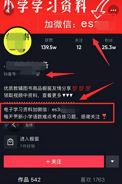 [网赚项目]无门槛虚拟资料项目，操作简单日赚300+！-第6张图片-智慧创业网