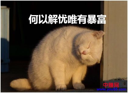 这些互联网赚钱的门路:你知道几个-第1张图片-智慧创业网 这些互联网赚钱的门路:你知道几个-第1张图片-智慧创业网