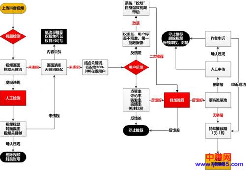 再来一份抖音冷启动做号养号经验!-第2张图片-智慧创业网 再来一份抖音冷启动做号养号经验!-第2张图片-智慧创业网