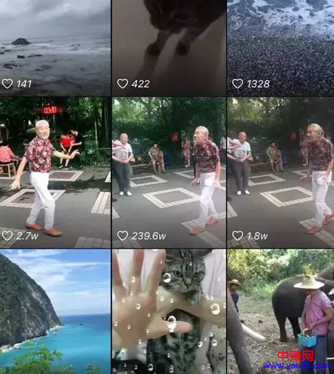 抖音实战教程:拍不出好视频,收集这类素材容易上热门-第1张图片-智慧创业网 抖音实战教程:拍不出好视频,收集这类素材容易上热门-第1张图片-智慧创业网
