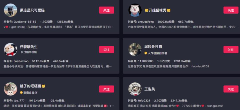 [网赚项目]副业拍猫视频一公一母，日赚上万，人人可操作