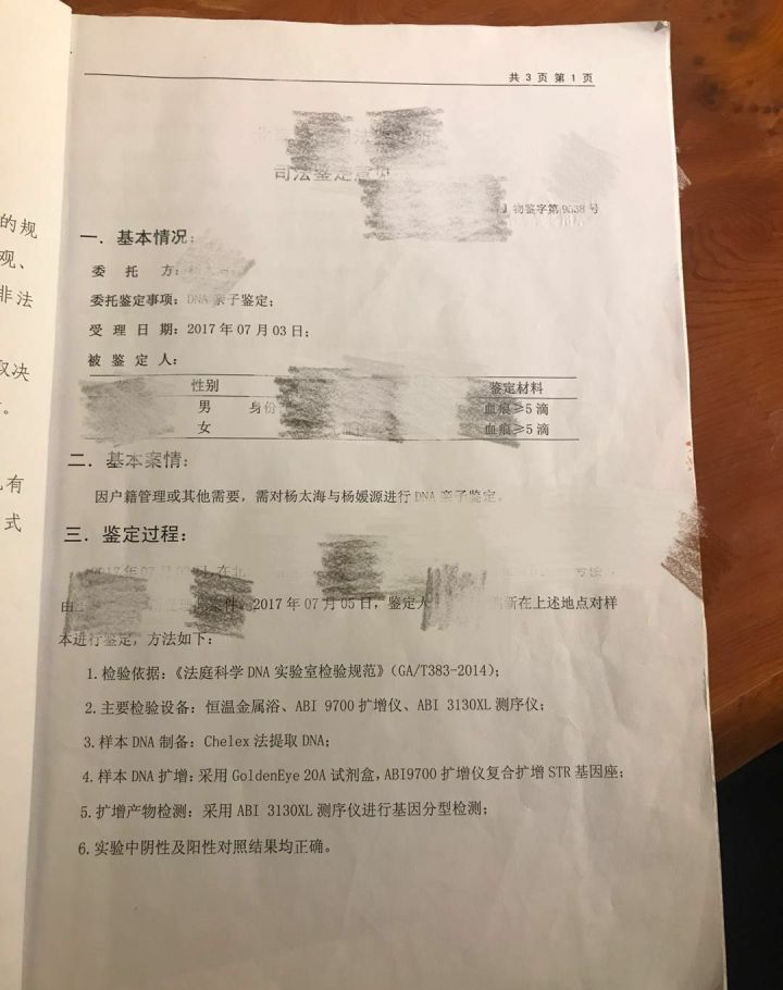 [创业资讯]闷声发财的路子：亲子鉴定项目的财富密码，躺赚了200万-第9张图片-智慧创业网