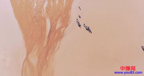 其实赚钱这事,不宜过急-第1张图片-智慧创业网 其实赚钱这事,不宜过急-第1张图片-智慧创业网