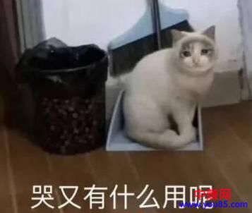 [大杂烩]我的真实网赚经历（100%的良心干货）