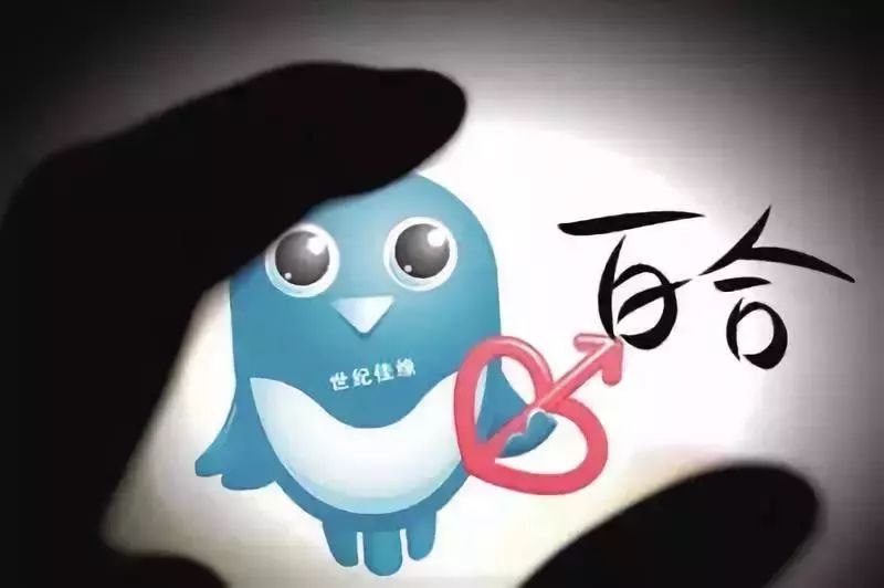 网恋一次损失1300万!相亲网站成剩男剩女屠宰场?-第6张图片-智慧创业网 网恋一次损失1300万!相亲网站成剩男剩女屠宰场?-第6张图片-智慧创业网