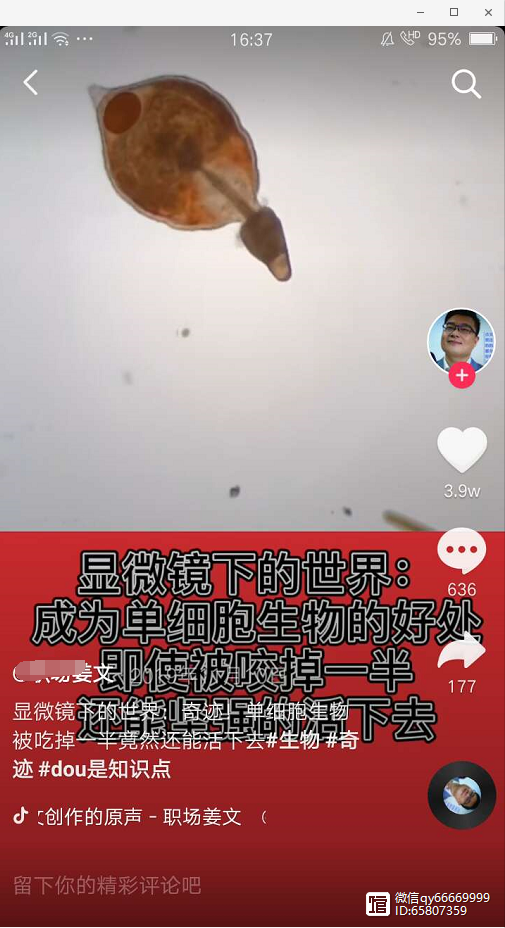 [网赚项目]轻成本投入的五花八门项目，也可以日赚200+-第2张图片-智慧创业网