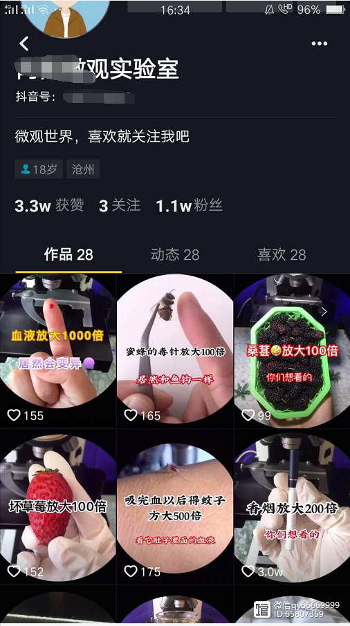 [网赚项目]轻成本投入的五花八门项目，也可以日赚200+-第3张图片-智慧创业网