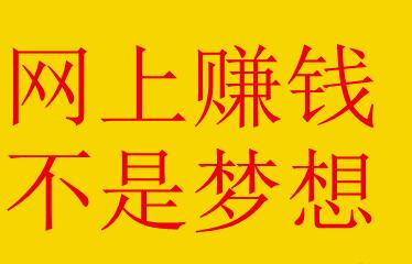 [引流涨粉]新手如何在网上赚钱，首先要懂得如何获取流量！