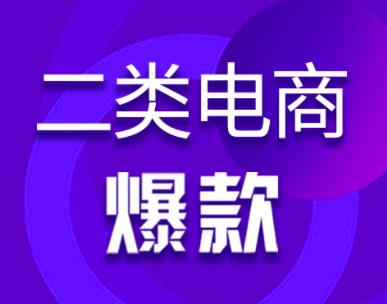 [创业资讯]聊一个小众的电商项目——二类电商，类似1688无货源，但重广告投放。