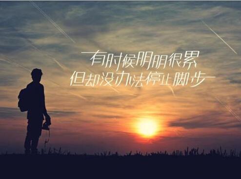 [创业资讯]网站未来你觉得会不会被淘汰？-第2张图片-智慧创业网