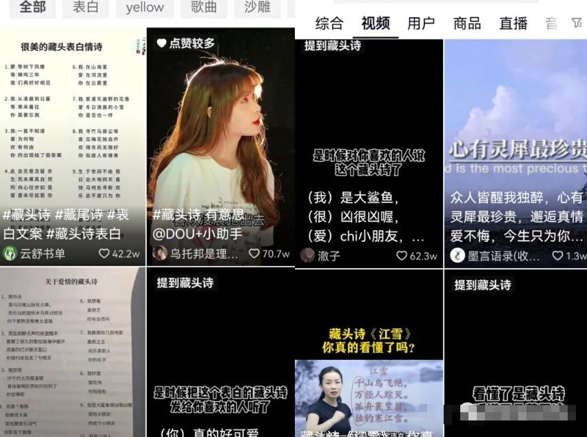 [网赚项目]抖音蓝海项目藏头诗项目，小白操作也可以月入上千！-第3张图片-智慧创业网