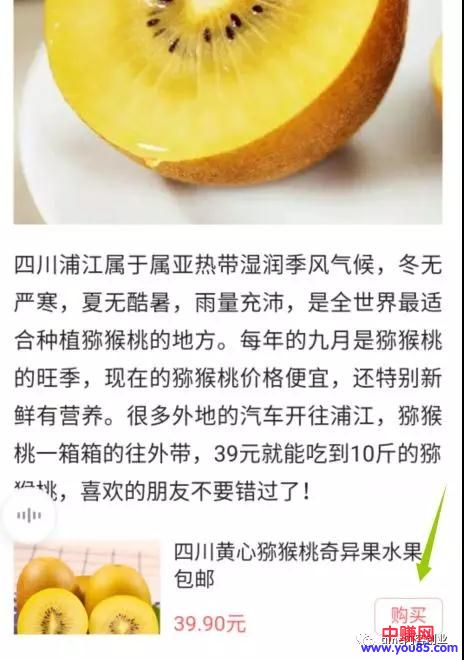 [短视频运营]新手写作赚钱项目：月收入5000+方法，4大秘诀告诉你-第2张图片-智慧创业网