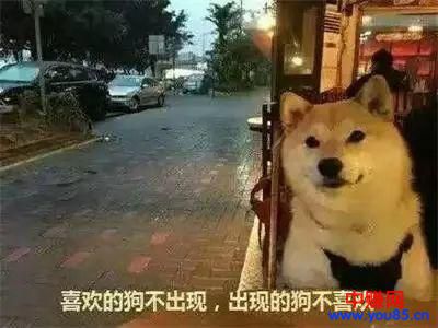 2018赚钱越来越难了,做网赚者应该如何赚钱!-第2张图片-智慧创业网 2018赚钱越来越难了,做网赚者应该如何赚钱!-第2张图片-智慧创业网