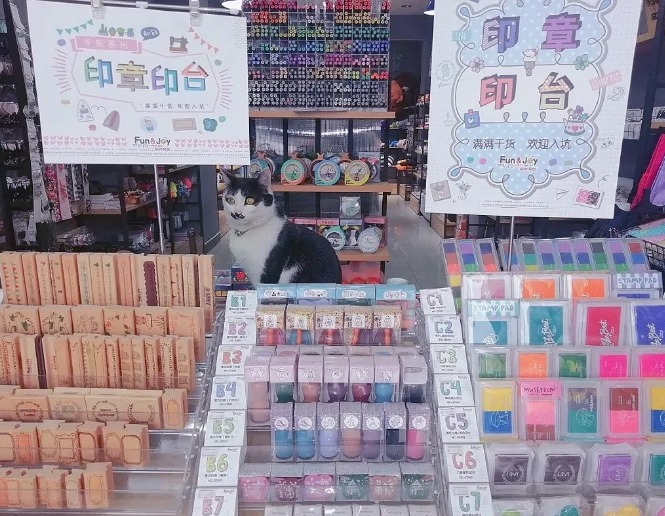 [创业资讯]分享几个高利润的小成本的创业小项目，小本创业收益也不差