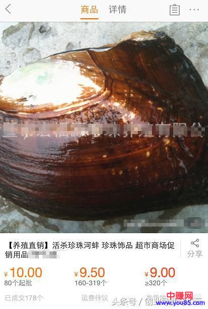 偏门暴利赚钱项目:直播现场开蚌卖珍珠,月赚5W+-第2张图片-智慧创业网 偏门暴利赚钱项目:直播现场开蚌卖珍珠,月赚5W+-第2张图片-智慧创业网