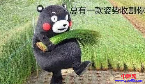 揭秘:你以为别人在带你做项目赚钱,其实他在割你韭菜-第5张图片-智慧创业网 揭秘:你以为别人在带你做项目赚钱,其实他在割你韭菜-第5张图片-智慧创业网