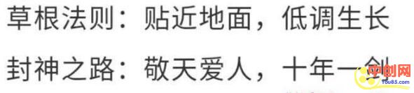 [创业资讯]网络里的孤独与狂欢，致敬每一个互联网从业者！-第1张图片-智慧创业网