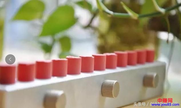 操作手工口红网赚项目,真的能月赚30000+-第3张图片-智慧创业网 操作手工口红网赚项目,真的能月赚30000+-第3张图片-智慧创业网