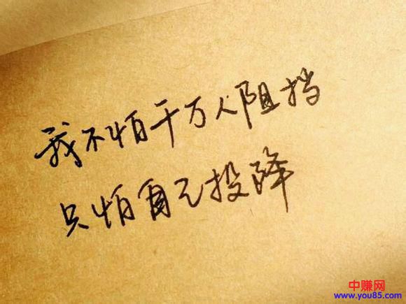 谈谈多年的创业之路和网络生涯-第4张图片-智慧创业网 谈谈多年的创业之路和网络生涯-第4张图片-智慧创业网