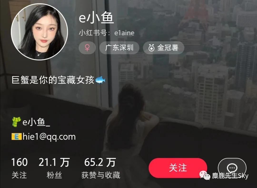 [引流涨粉]小红书博主如何赚钱？ 聊聊小红书推广变现的话题-第2张图片-智慧创业网